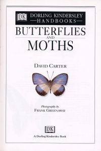 Butterflies and Moths