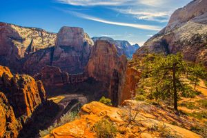 Zion National Park