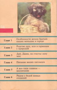 Ваш Четвероногий Друг: Радости И Заботы