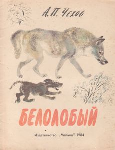 Белолобый