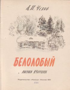 Белолобый