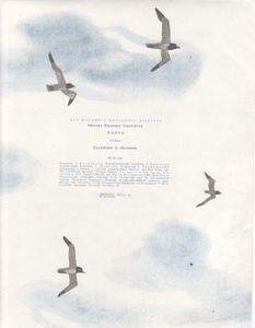 Парус