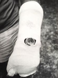 Hamburger Eyes Photo Magazine No. 32 - The Continuing Story Of Life On Earth