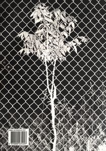 Hamburger Eyes Photo Magazine No. 32 - The Continuing Story Of Life On Earth