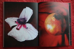 The Death of Photography