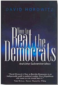 How to Beat the Democrats: And Other Subversive Ideas