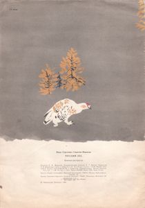 Русский Лес
