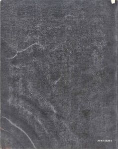 Physical Anthropology and Archeology: Fourth Edition