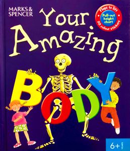 Your Amazing Body
