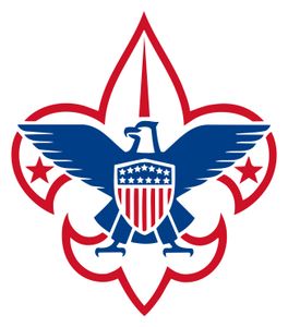 Boy Scouts Of America