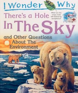 I Wonder Why There's a Hole in the Sky and Other Questions About the Environment