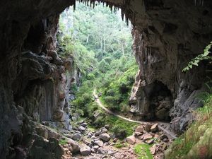 Cave