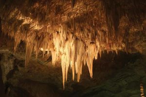 Stalactite