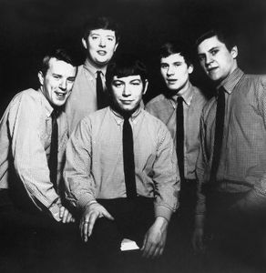 The Animals
