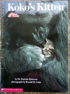 Koko's Kitten