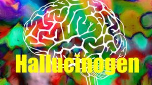 Hallucinogens