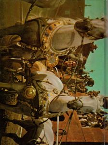 The Story of the Making of Ben-Hur: A Tale of the Christ