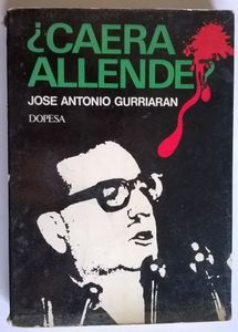 ¿Caera Allende?