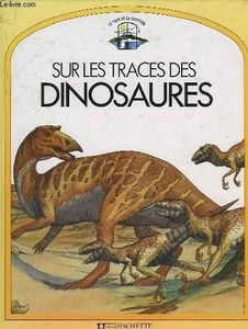 Sur La Trace Des Dinosaures