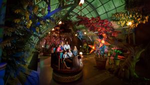 Roller Coaster