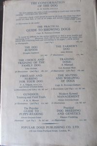 The Anatomy of Dog Breeding