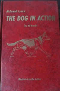 The Dog In Action