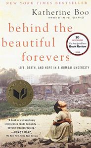 Behind the Beautiful Forevers