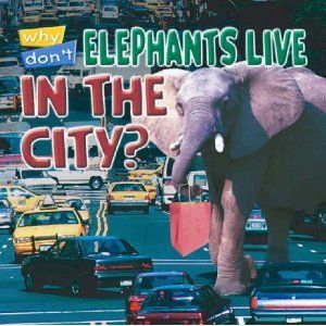 Why Don't Elephants Live In The City?
