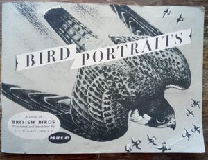 Bird Portraits