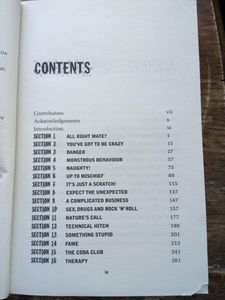 Mad, Bad And Dangerous: The Book Of Drummers' Tales