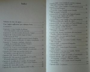 Candido o L'Ottimismo
