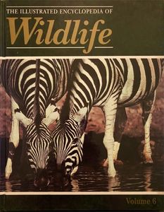 The Illustrated Encyclopedia of Wildlife: Volume 6