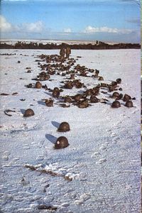 No Picnic: 3 Commando Brigade in the South Atlantic: 1982