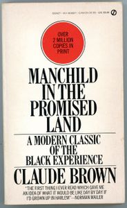 Manchild In The Promised Land