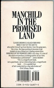 Manchild In The Promised Land