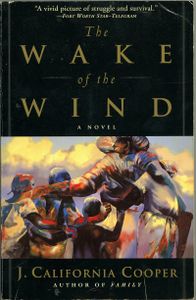 The Wake Of The Wind