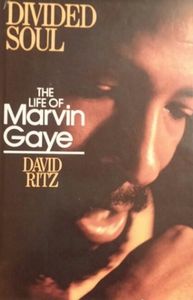 Divided Soul (The Life of Marvin Gaye)