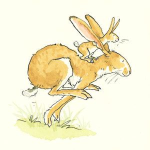 Little Nutbrown Hare