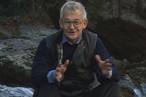 Martin Waddell