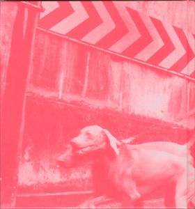 Pet Shop Boys Catalogue