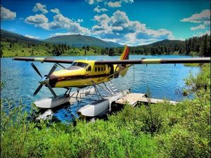 Bush Flying