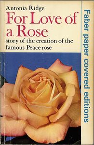 For Love of a Rose