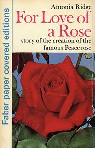 For Love of a Rose