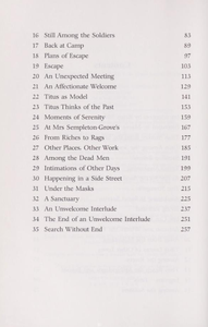 Titus Awakes. The Lost Book of Gormenghast