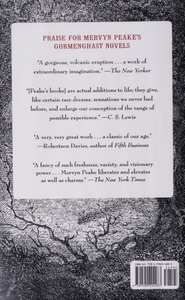 Titus Awakes. The Lost Book of Gormenghast