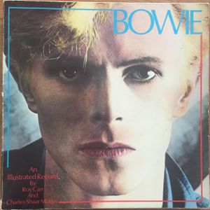 Bowie: An Illustrated Record