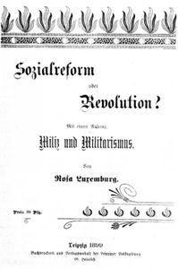 Sozialreform oder Revolution?