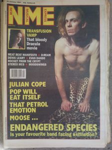 NME 30 January 1993