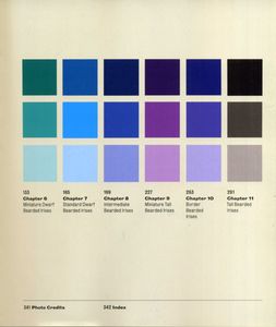 A Guide to Bearded Irises