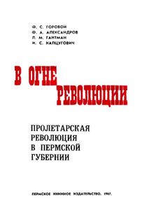 Урал в огне революции. Пролетарская революция в Пермской губернии